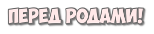 -29-08-2023-3